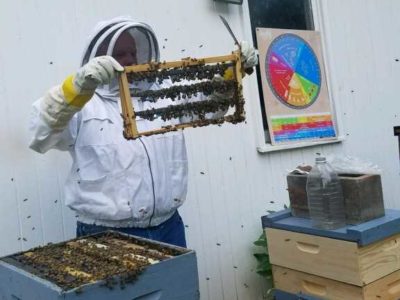 Western Maryland Apiaries - Frederick Backyard Beekeepers Association