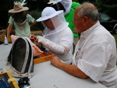 Western Maryland Apiaries - Frederick Backyard Beekeepers Association