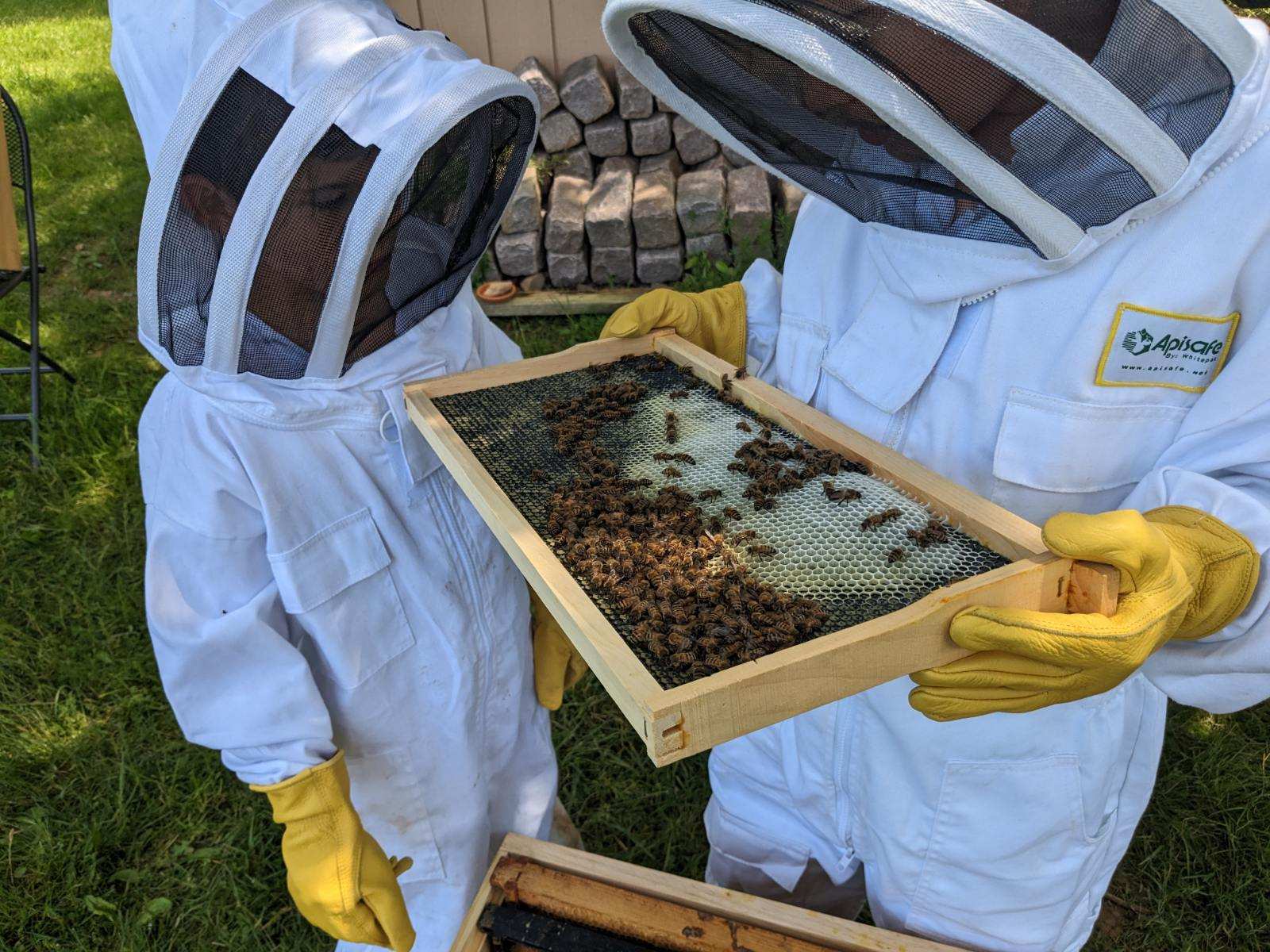 Western Maryland Apiaries - Frederick Backyard Beekeepers Association